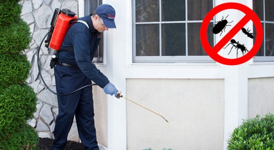 Kavak Gümüşkurt İlaçlama böcek ilaçlama ve haşere kontrolü — ilaclama-tr.com